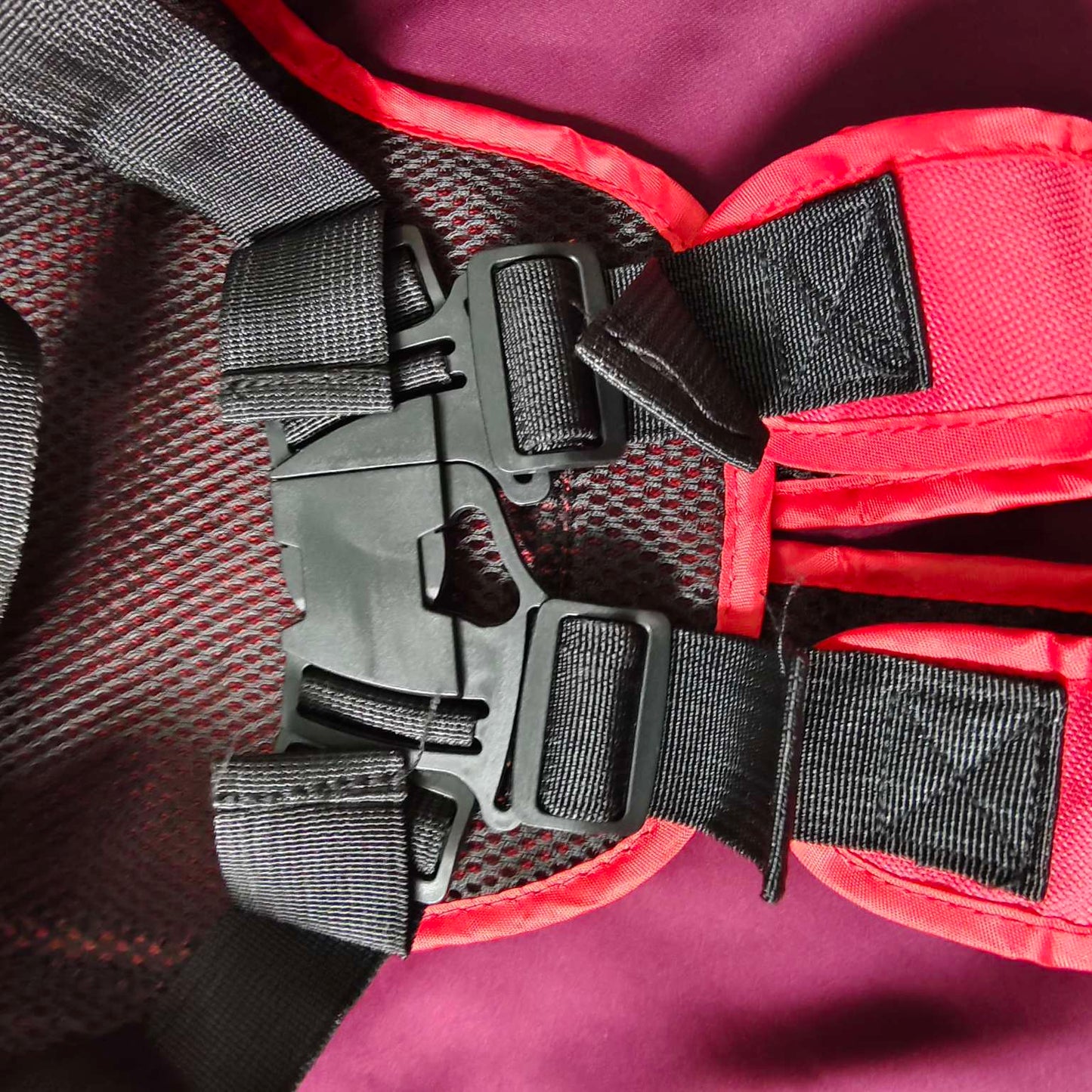 Bike safety Belt