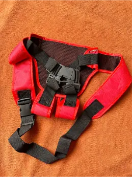 Bike safety Belt