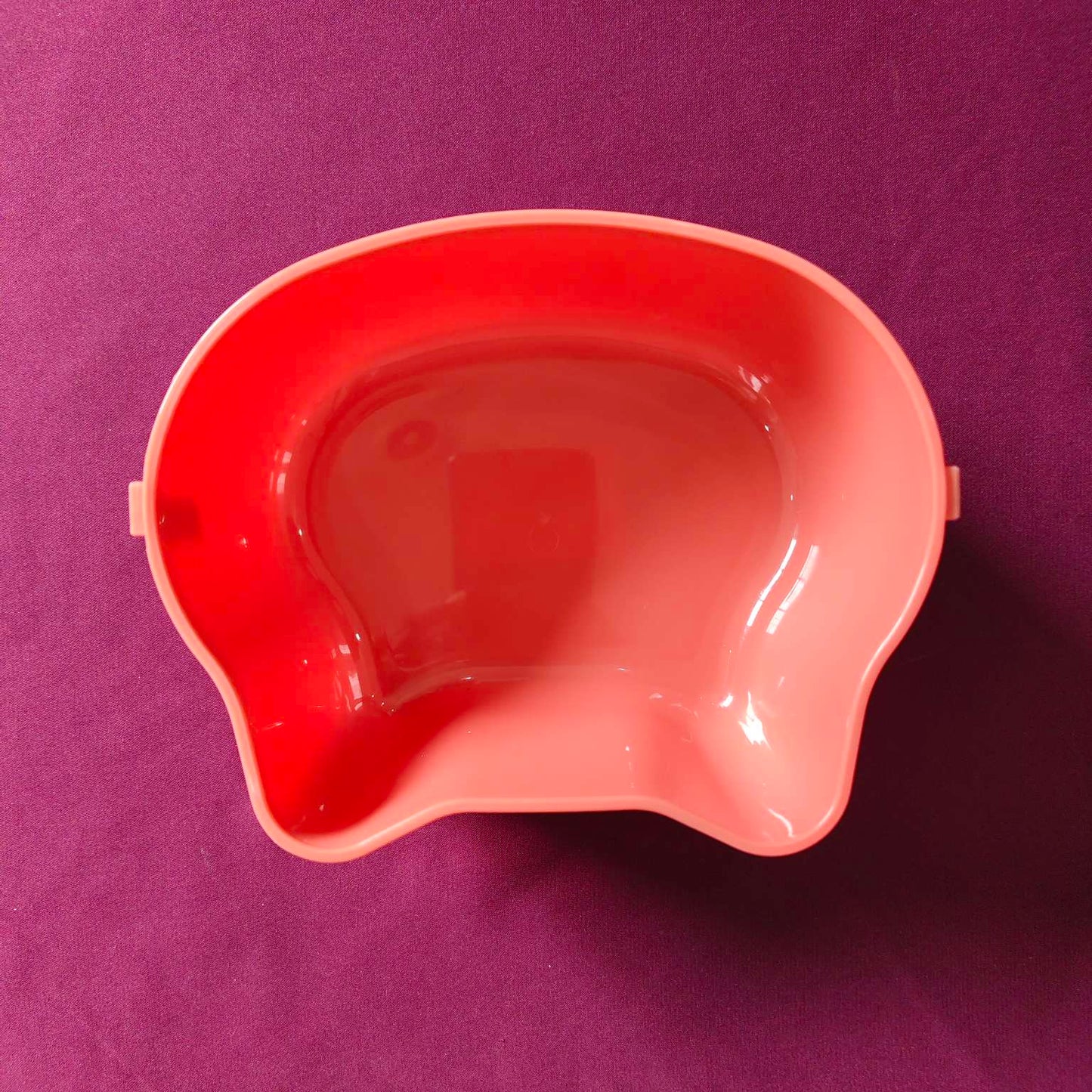 Bear-Shaped Kids Lunch Box with Spoon