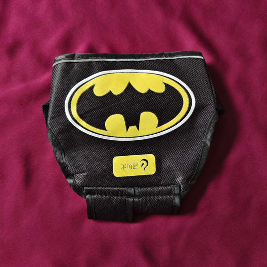 Bike Safety Belt