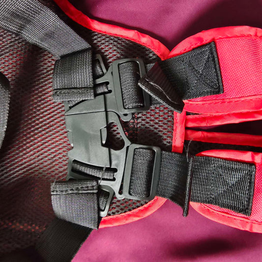 Bike safety Belt