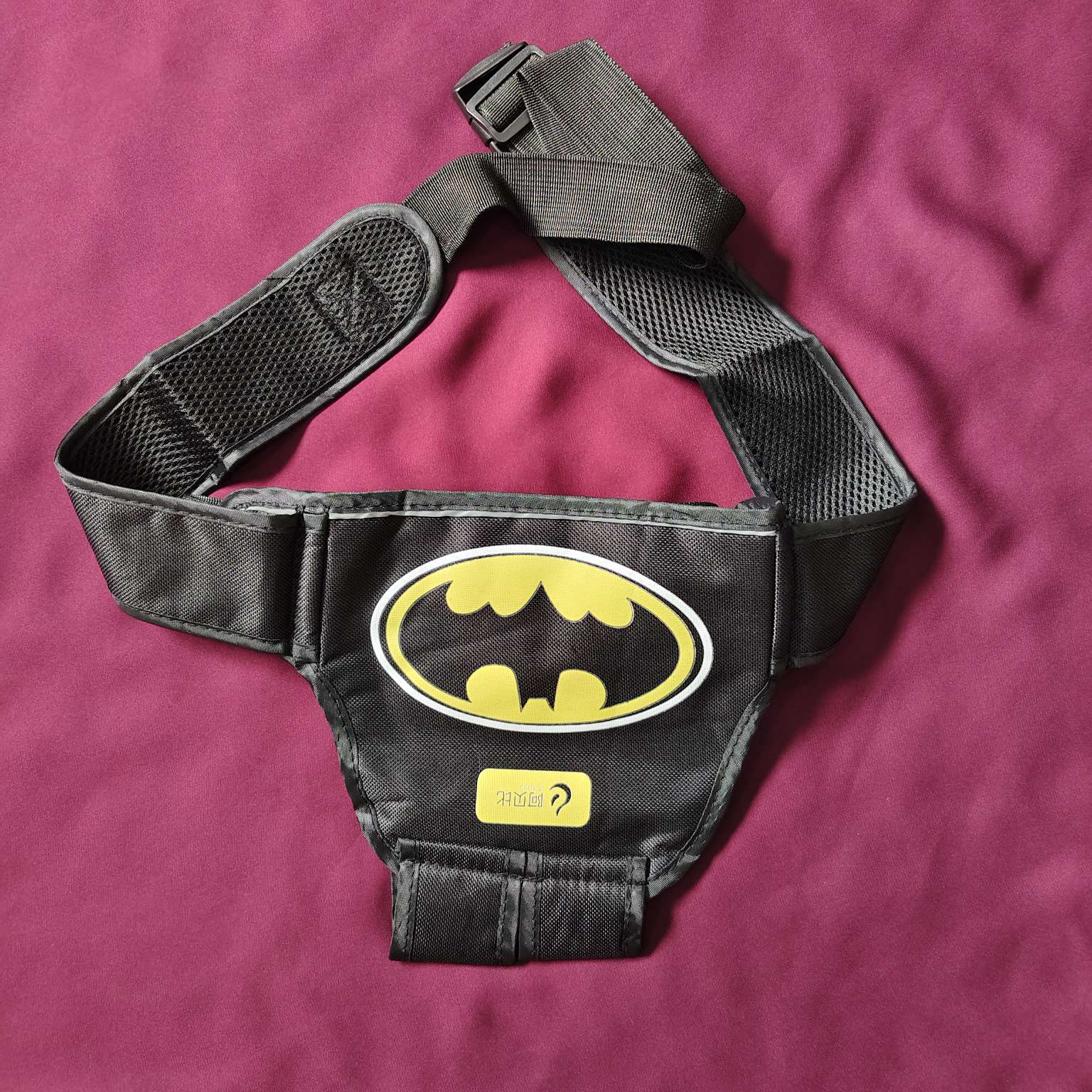 Bike Safety Belt