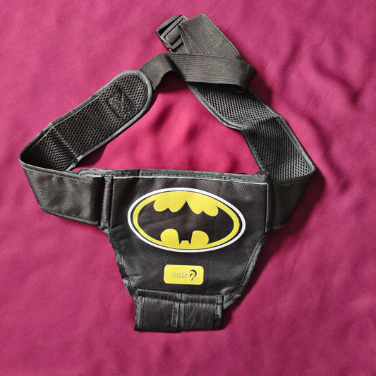 Bike Safety Belt