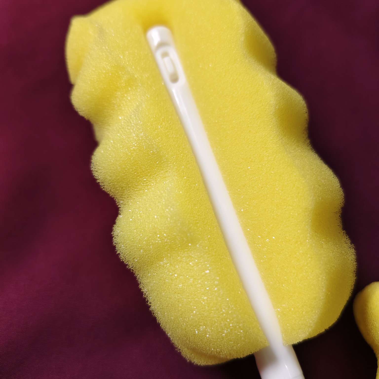 Feeder Cleaning Brush sponge 3