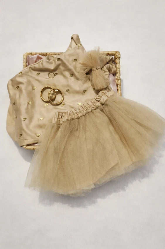 Nahni Titliyan 3-pieces Eid set for Baby Girls