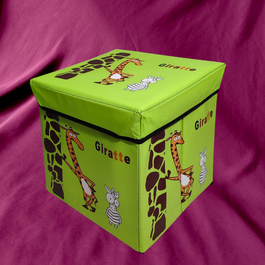 Storage box